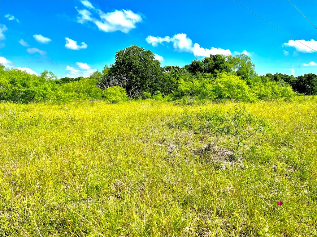 430 Broadhead Trail , Luling, TX, 78648 | 2349352 | Realty Texas LLC
