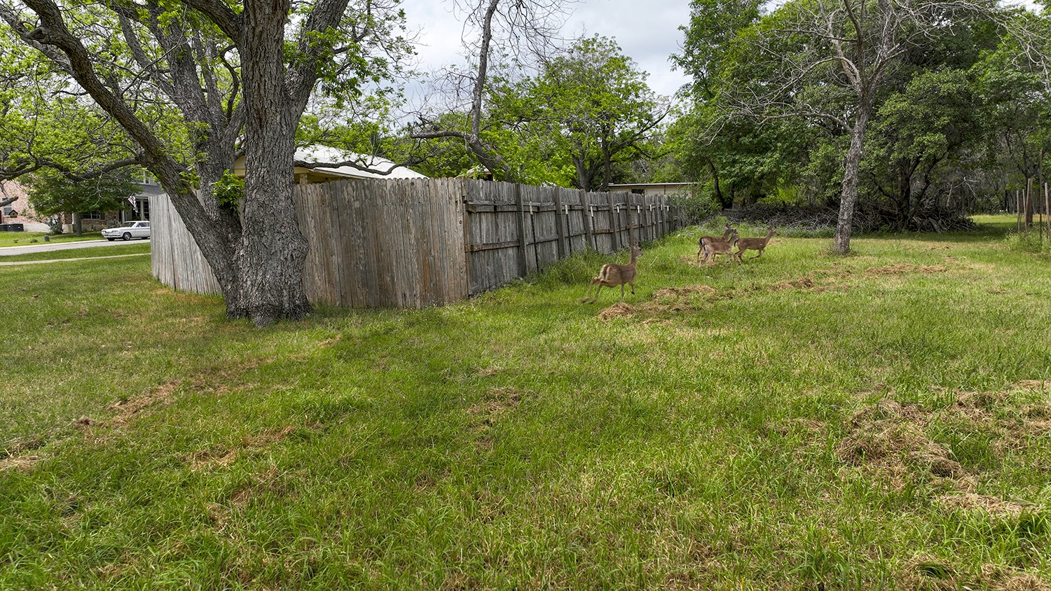 0 Wood Road , New Braunfels, TX, 78130 | 74335416 | Realty Texas LLC