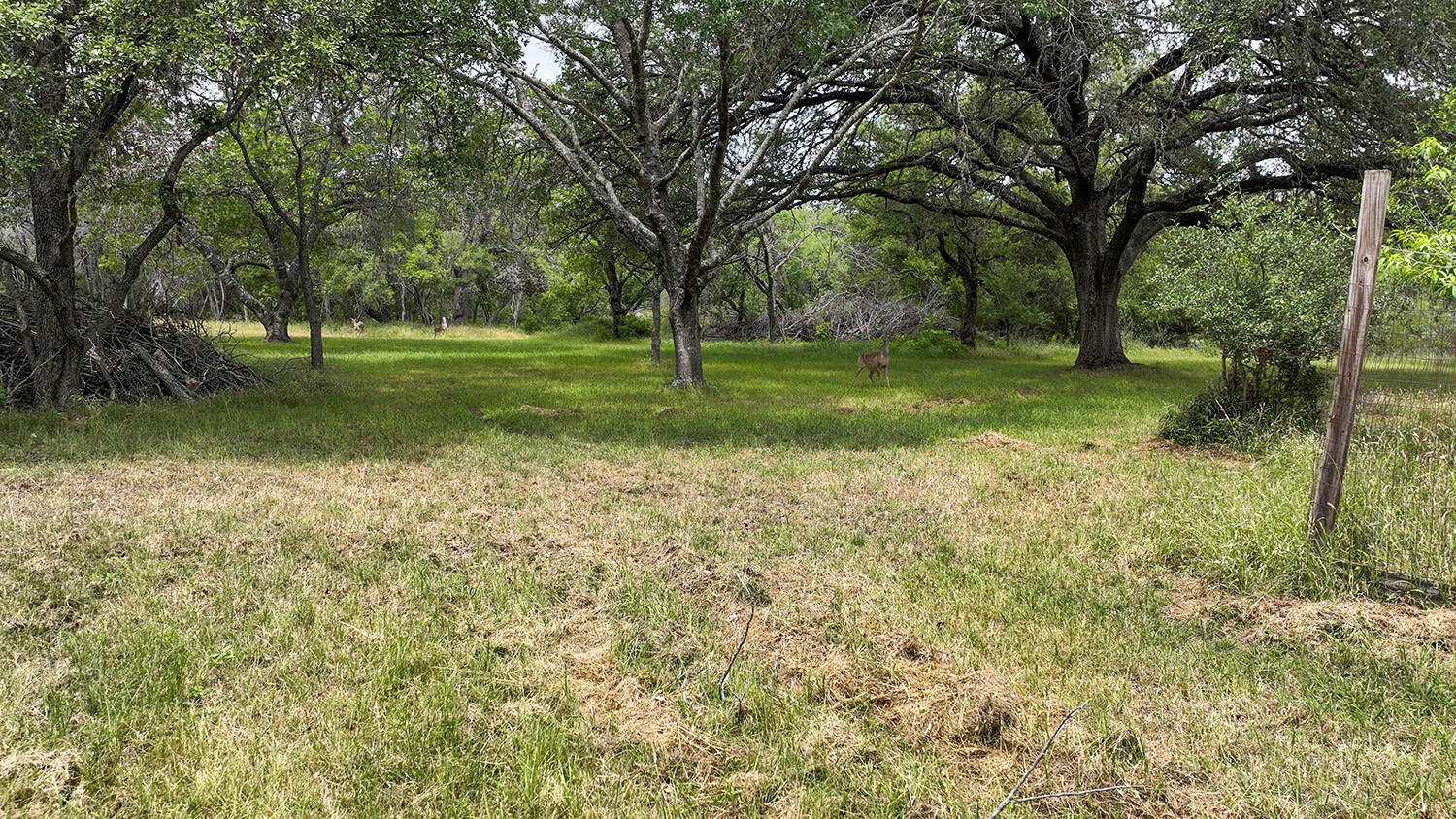 0 Wood Road , New Braunfels, TX, 78130 | 74335416 | Realty Texas LLC