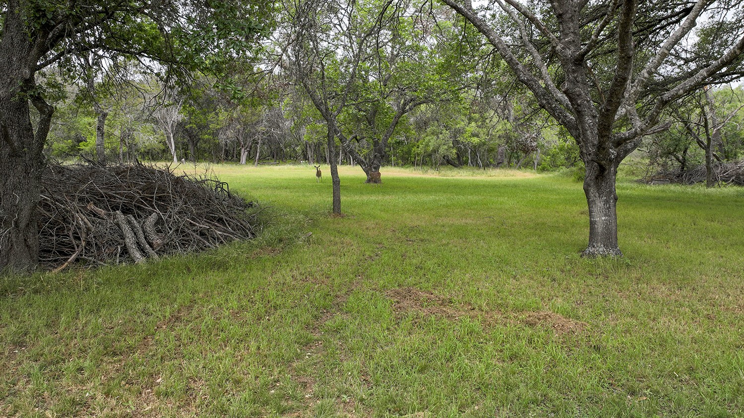 0 Wood Road , New Braunfels, TX, 78130 | 74335416 | Realty Texas LLC