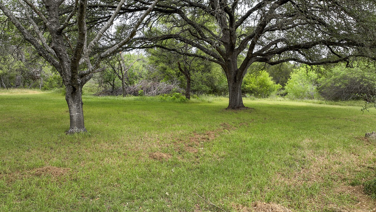0 Wood Road , New Braunfels, TX, 78130 | 74335416 | Realty Texas LLC