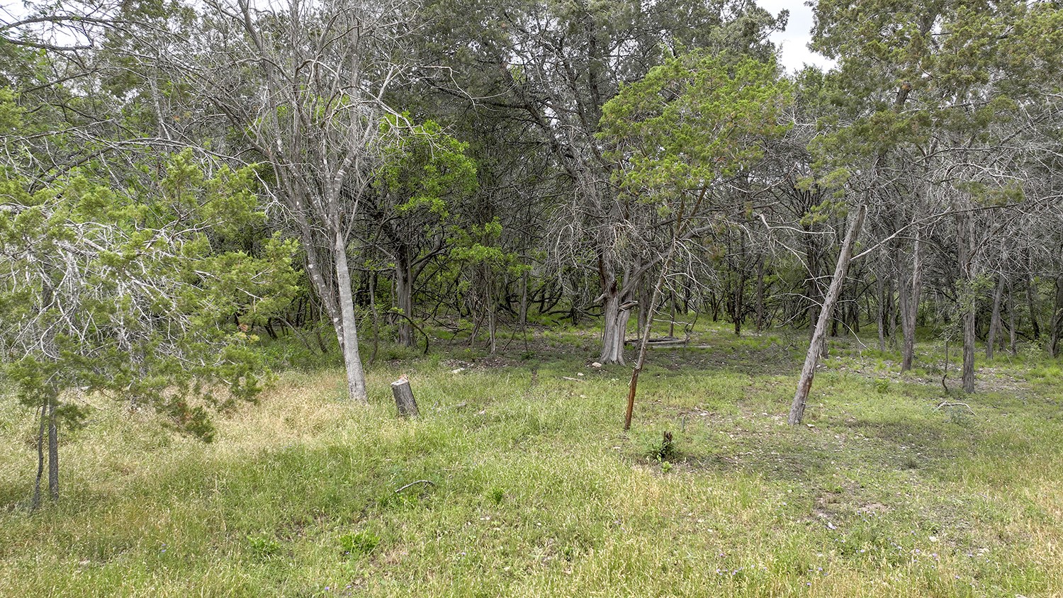 0 Wood Road , New Braunfels, TX, 78130 | 74335416 | Realty Texas LLC