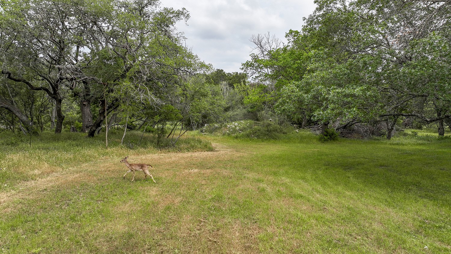 0 Wood Road , New Braunfels, TX, 78130 | 74335416 | Realty Texas LLC
