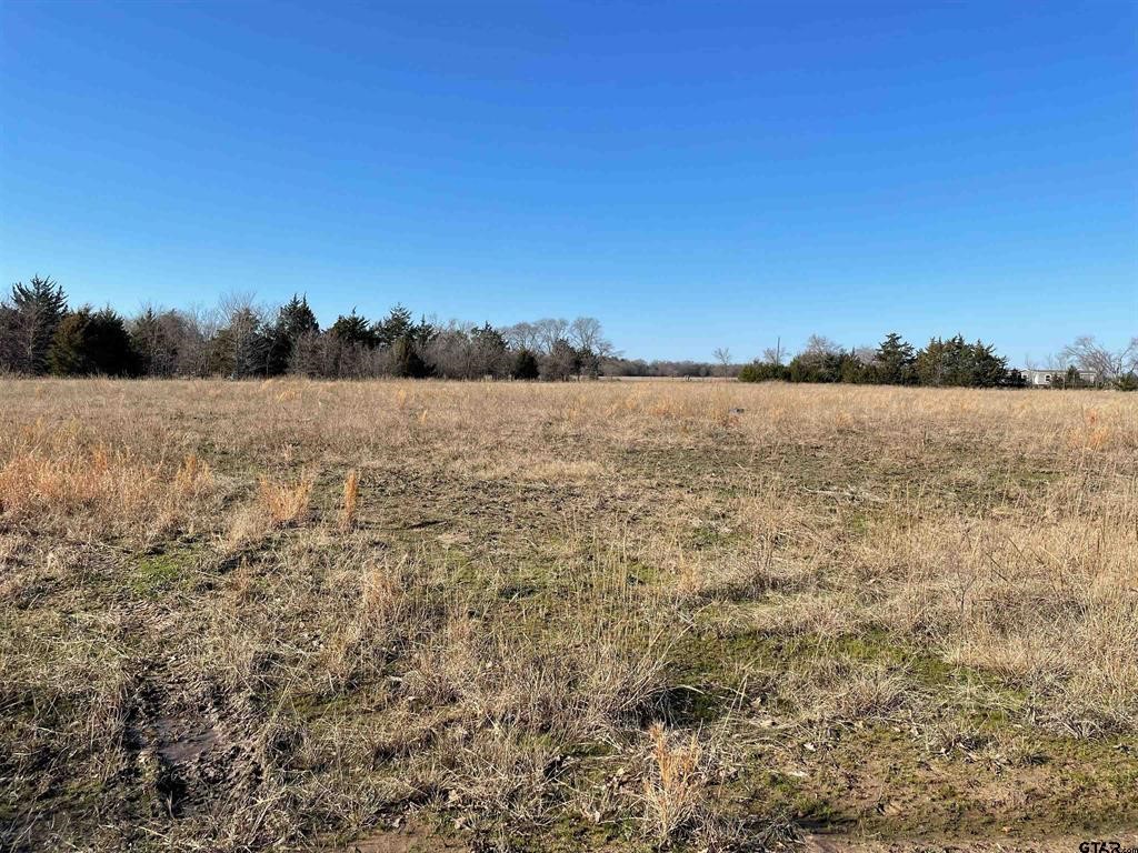 1380 RS County Road 4480 , Point, TX, 75472 | 20536865 | Realty Texas LLC