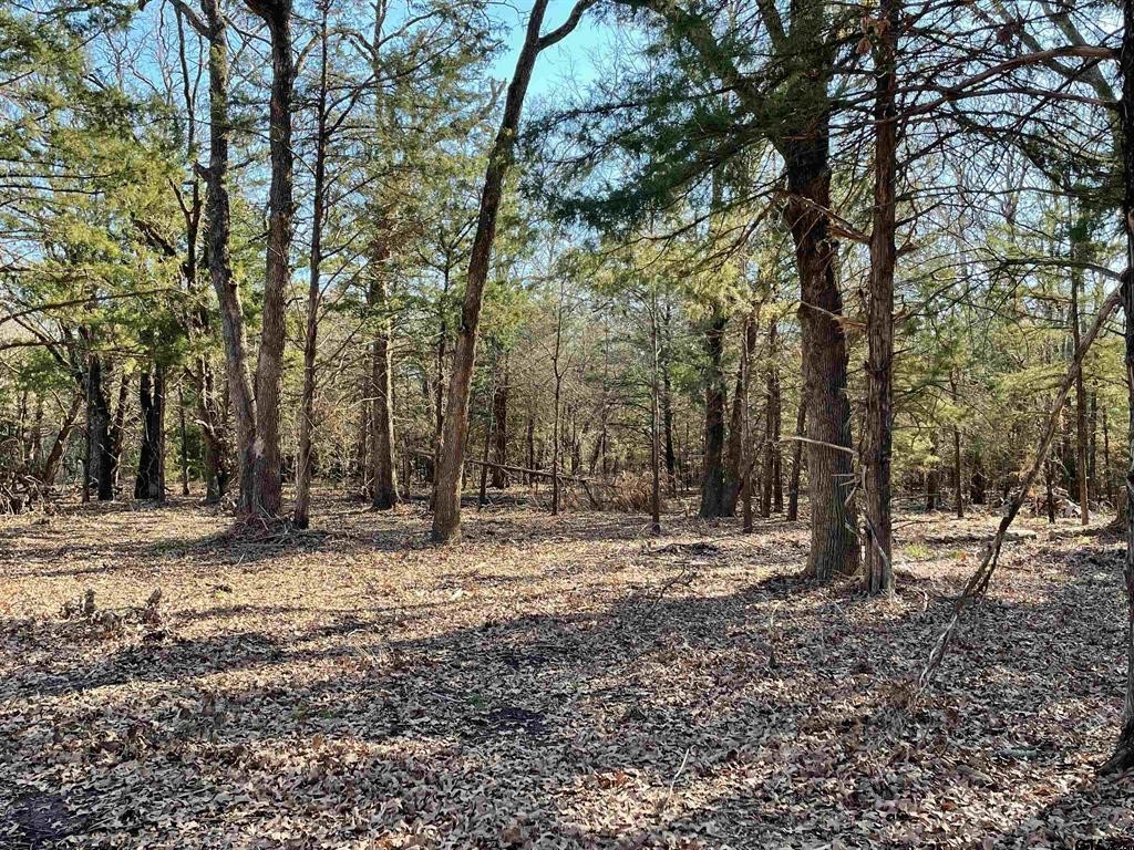 1380 RS County Road 4480 , Point, TX, 75472 | 20536865 | Realty Texas LLC