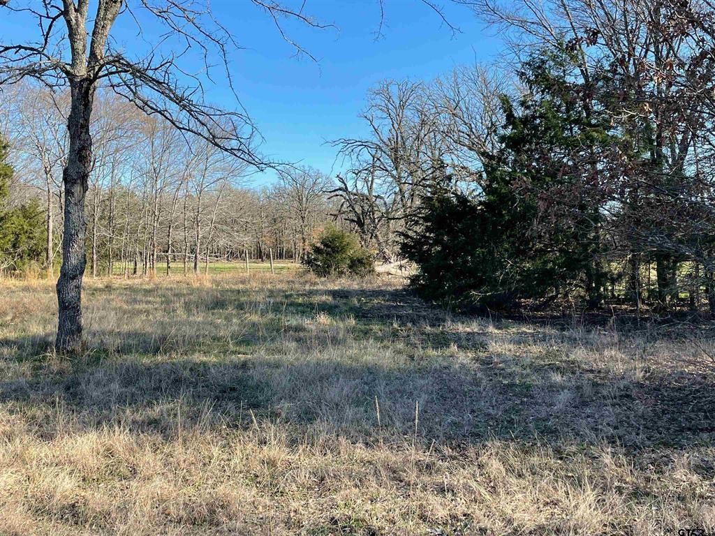 1380 RS County Road 4480 , Point, TX, 75472 | 20536865 | Realty Texas LLC