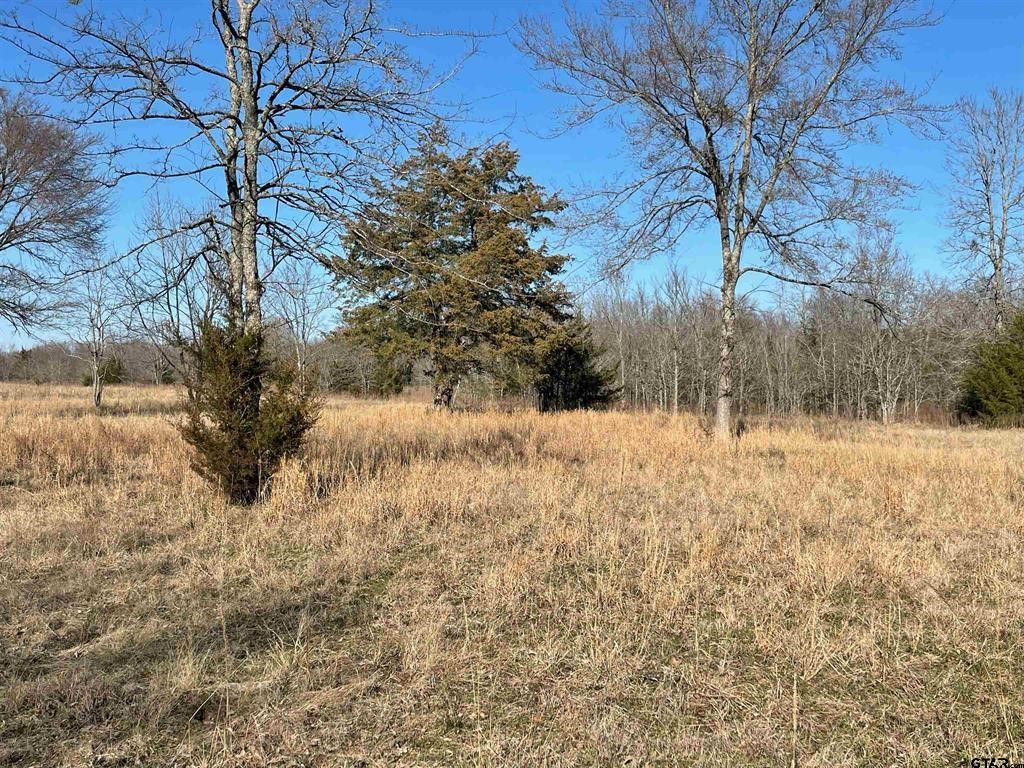 1380 RS County Road 4480 , Point, TX, 75472 | 20536865 | Realty Texas LLC