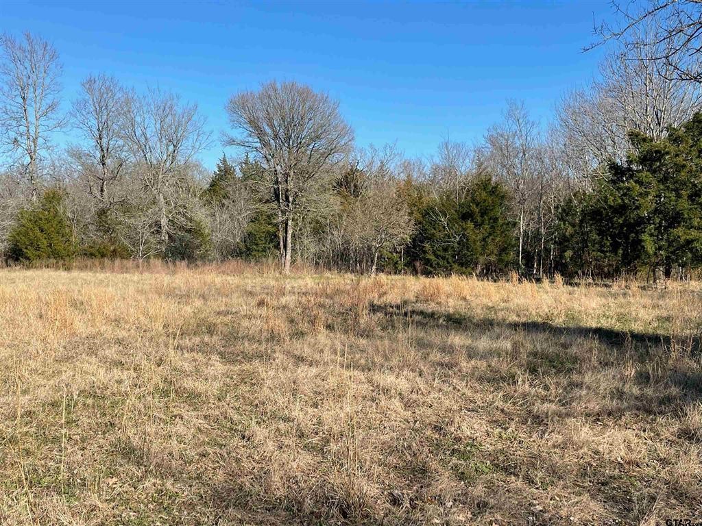 1380 RS County Road 4480 , Point, TX, 75472 | 20536865 | Realty Texas LLC