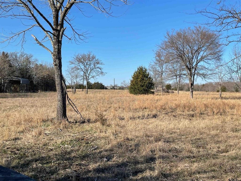 1380 RS County Road 4480 , Point, TX, 75472 | 20536865 | Realty Texas LLC