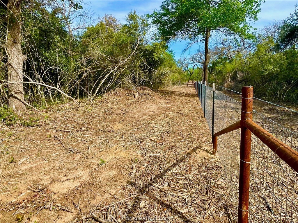 TBD 1 County Road 4691 , Normangee, TX, 77871 | 24006726 | Realty Texas LLC
