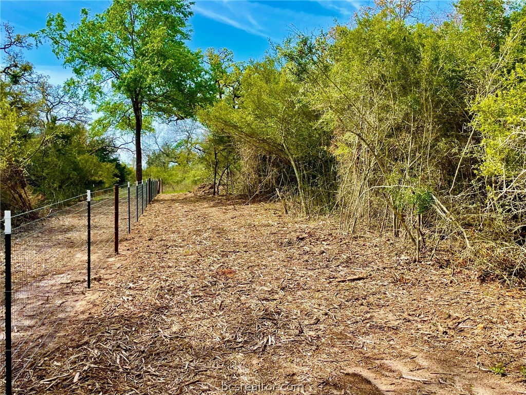 TBD 1 County Road 4691 , Normangee, TX, 77871 | 24006726 | Realty Texas LLC