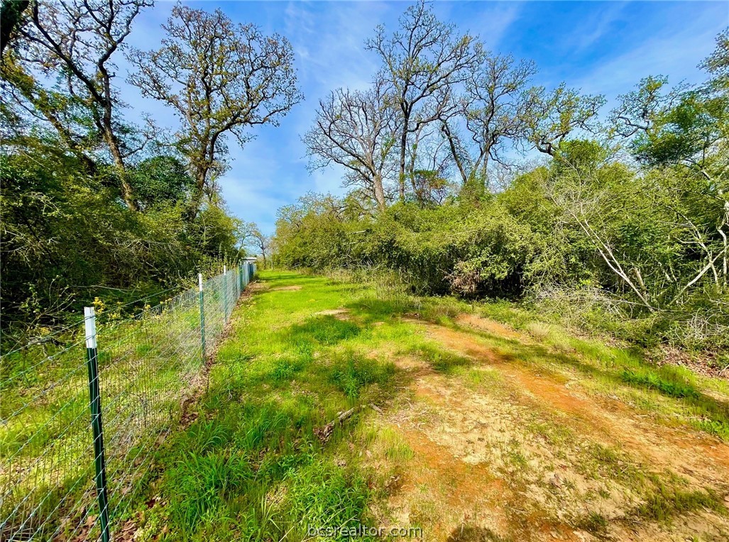 TBD 1 County Road 4691 , Normangee, TX, 77871 | 24006726 | Realty Texas LLC