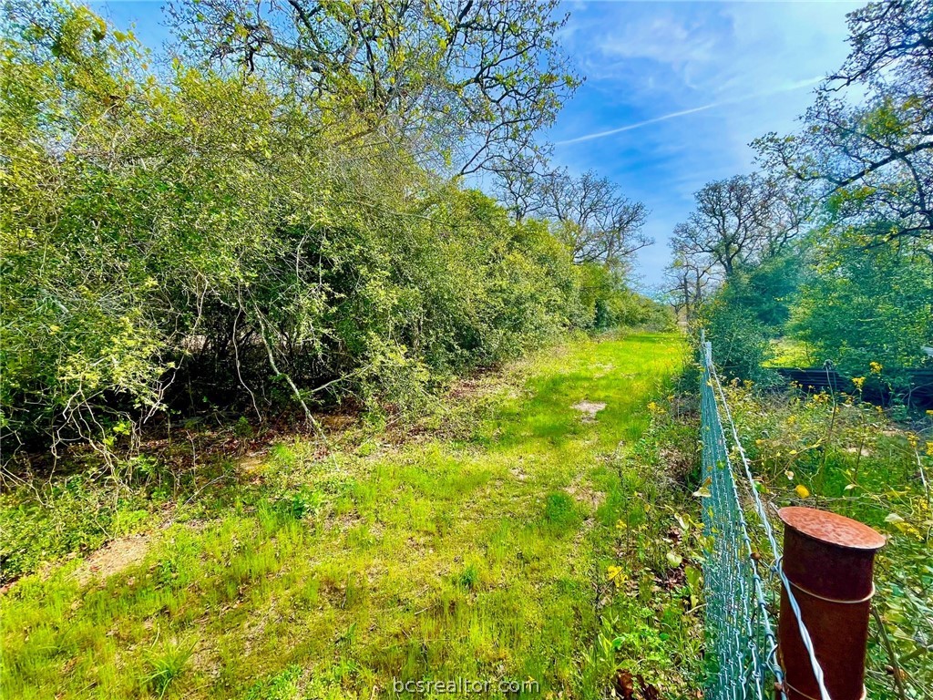 TBD 1 County Road 4691 , Normangee, TX, 77871 | 24006726 | Realty Texas LLC