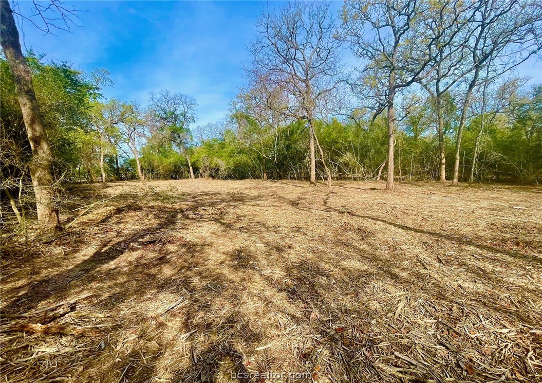 TBD 1 County Road 4691 , Normangee, TX, 77871 | 24006726 | Realty Texas LLC