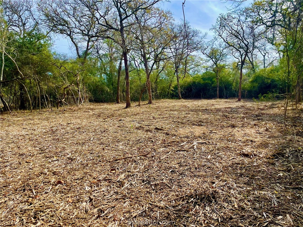 TBD 1 County Road 4691 , Normangee, TX, 77871 | 24006726 | Realty Texas LLC