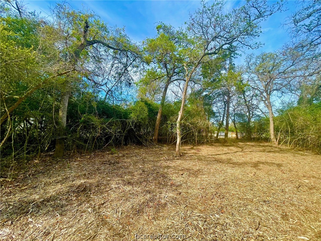 TBD 1 County Road 4691 , Normangee, TX, 77871 | 24006726 | Realty Texas LLC