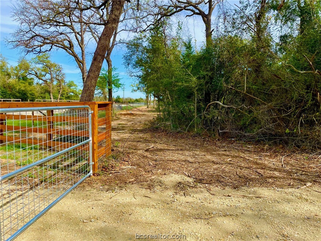 TBD 1 County Road 4691 , Normangee, TX, 77871 | 24006726 | Realty Texas LLC