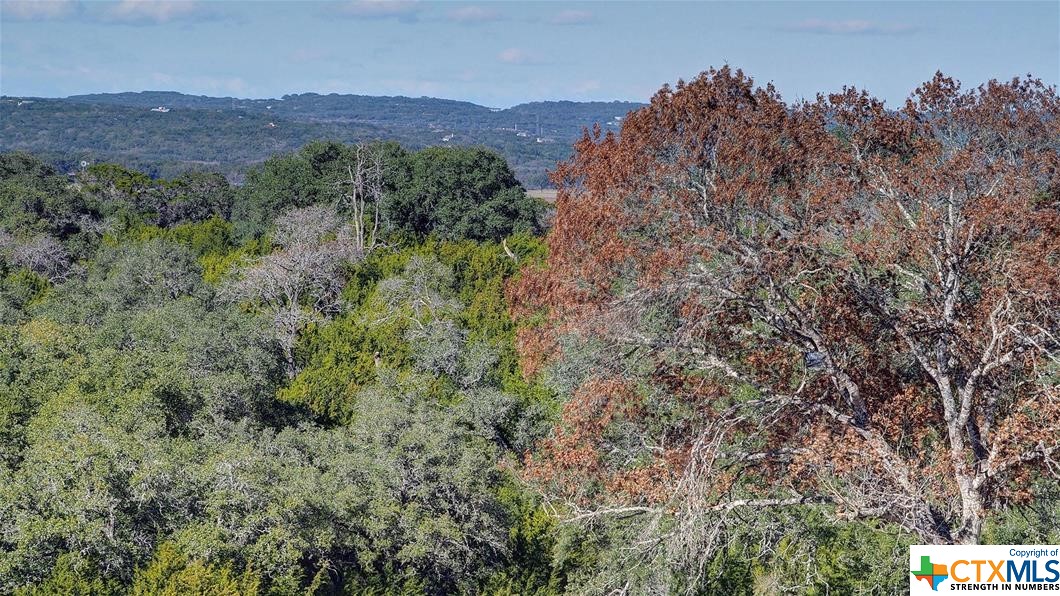 28416 Cohaset Way , San Antonio, TX, 78260 | 533191 | Realty Texas LLC