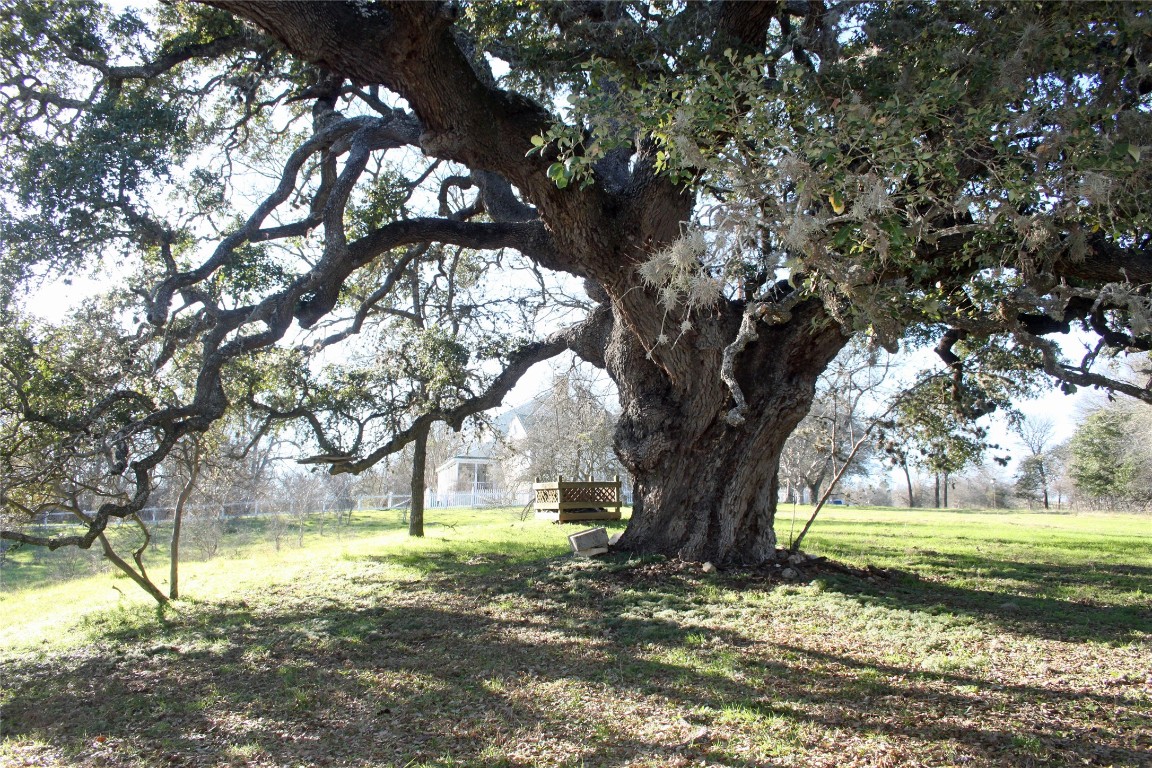 5727 Seawillow Road , Lockhart, TX, 78644 | 2826215 | Realty Texas LLC