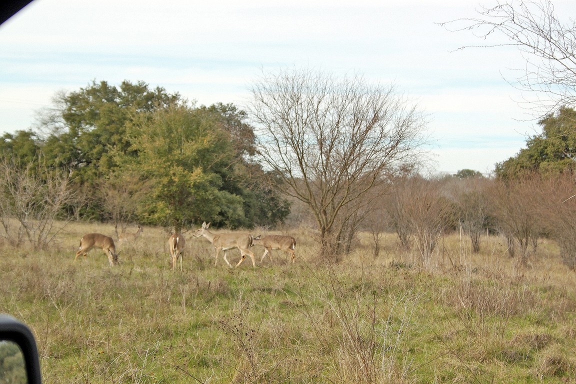 5727 Seawillow Road , Lockhart, TX, 78644 | 2826215 | Realty Texas LLC