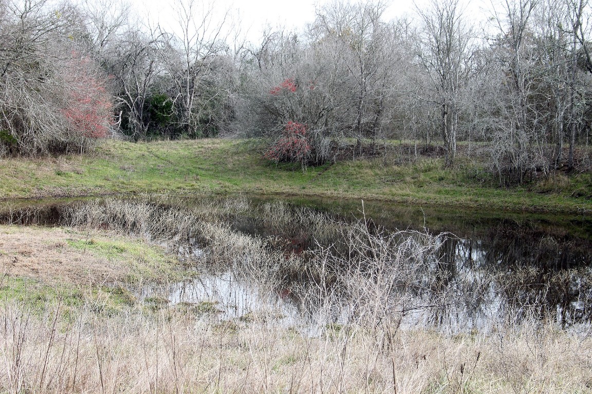 5727 Seawillow Road , Lockhart, TX, 78644 | 2826215 | Realty Texas LLC