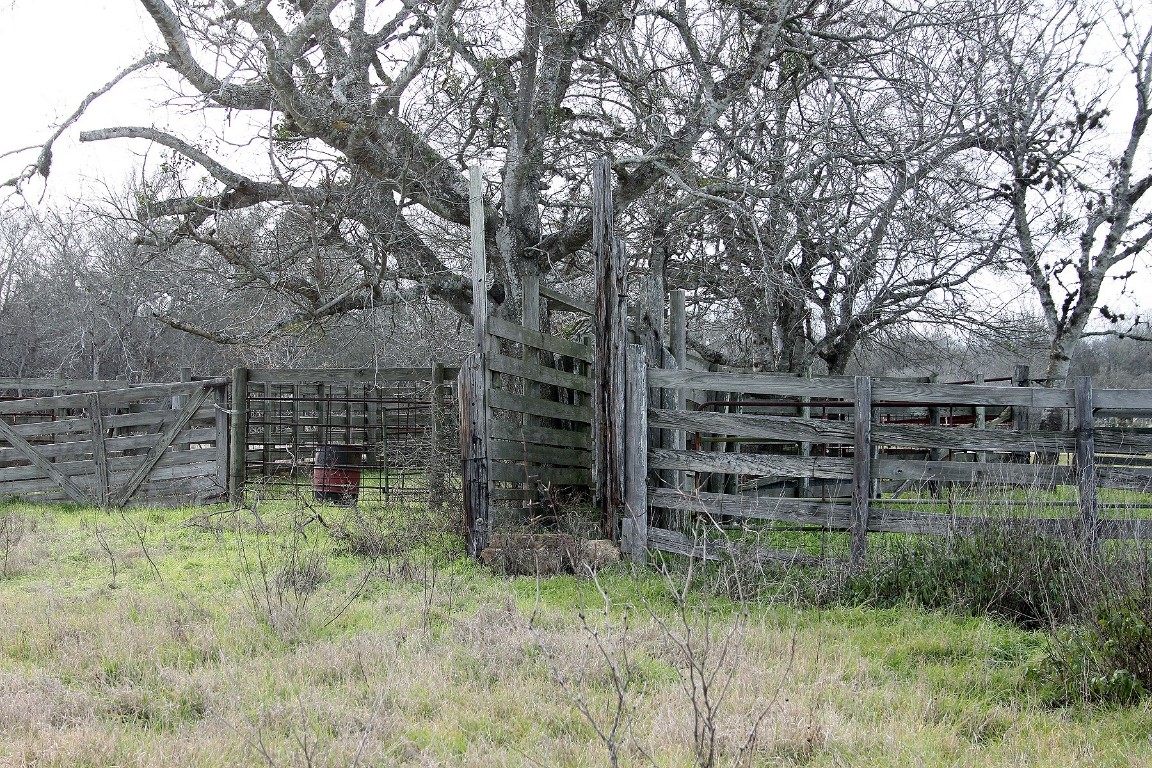 5727 Seawillow Road , Lockhart, TX, 78644 | 2826215 | Realty Texas LLC