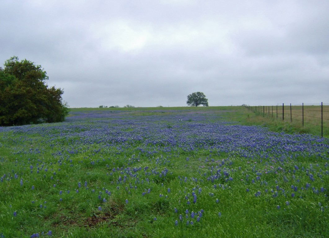 5727 Seawillow Road , Lockhart, TX, 78644 | 2826215 | Realty Texas LLC
