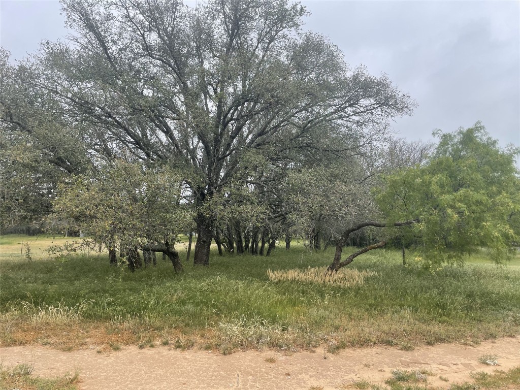 9464 Highway 84E , Zephyr, TX, 76890 | 4664178 | Realty Texas LLC