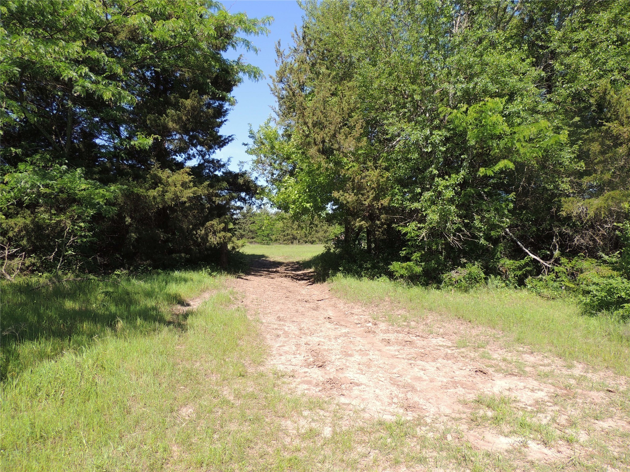 9324 FM 898, Whitewright, TX, 75491 | 20600894 | Realty Texas LLC