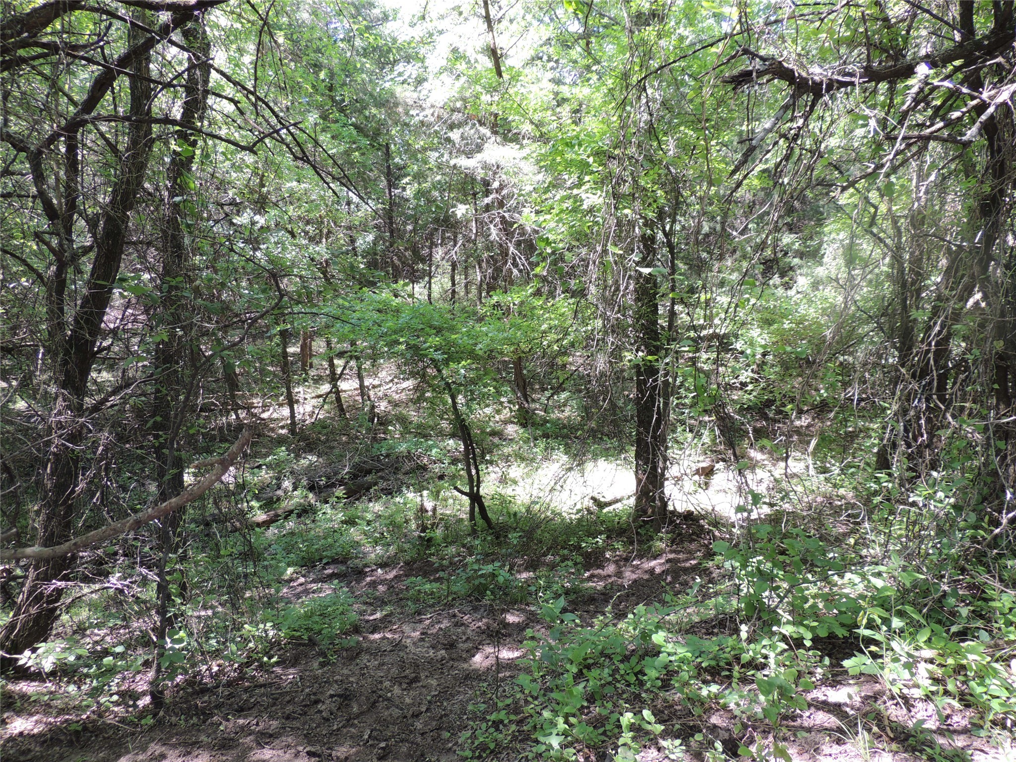 9324 FM 898, Whitewright, TX, 75491 | 20600894 | Realty Texas LLC