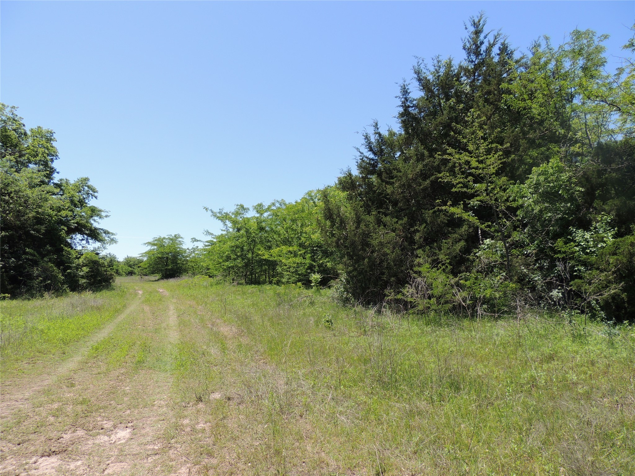 9324 FM 898, Whitewright, TX, 75491 | 20600894 | Realty Texas LLC
