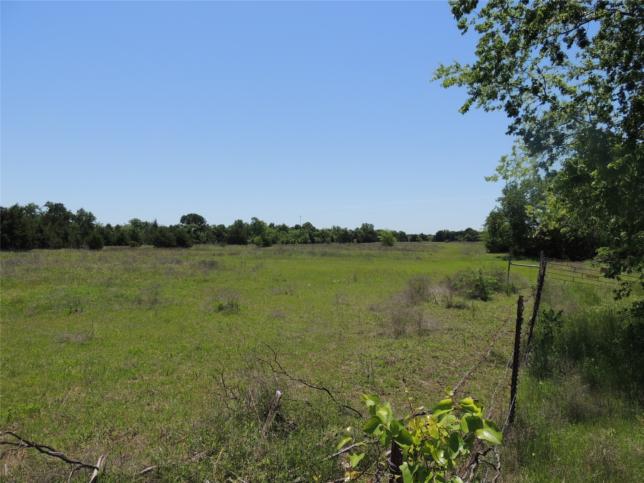 9324 FM 898, Whitewright, TX, 75491 | 20600894 | Realty Texas LLC