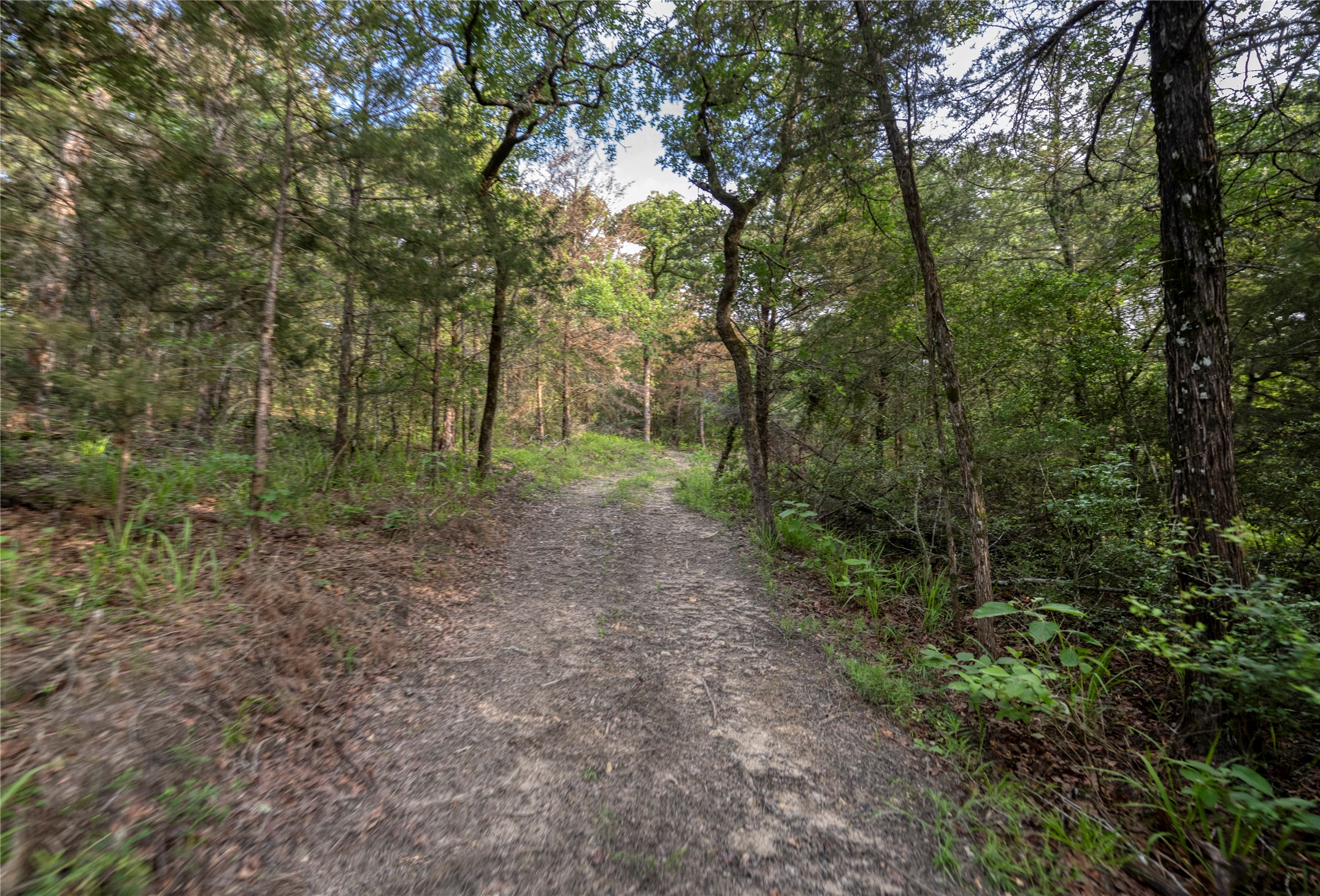 875 County Road 331 , Caldwell, TX, 77836 | 62286986 | Realty Texas LLC