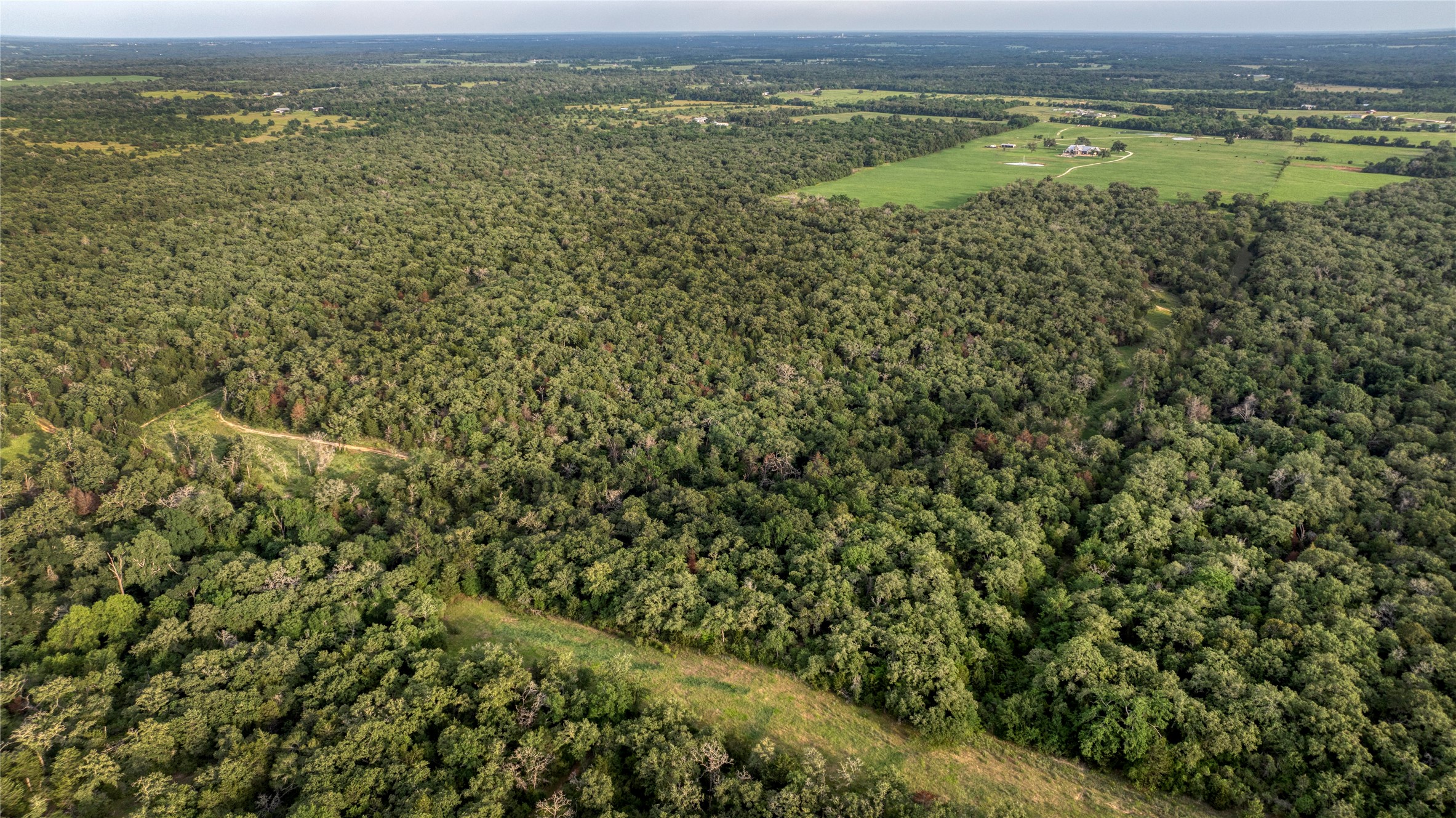 875 County Road 331 , Caldwell, TX, 77836 | 62286986 | Realty Texas LLC