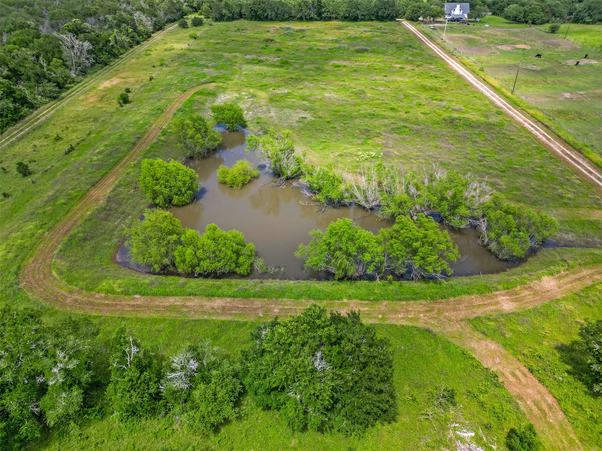 8535 Schuster Road , Nechanitz, TX, 78946 | 29235901 | Realty Texas LLC