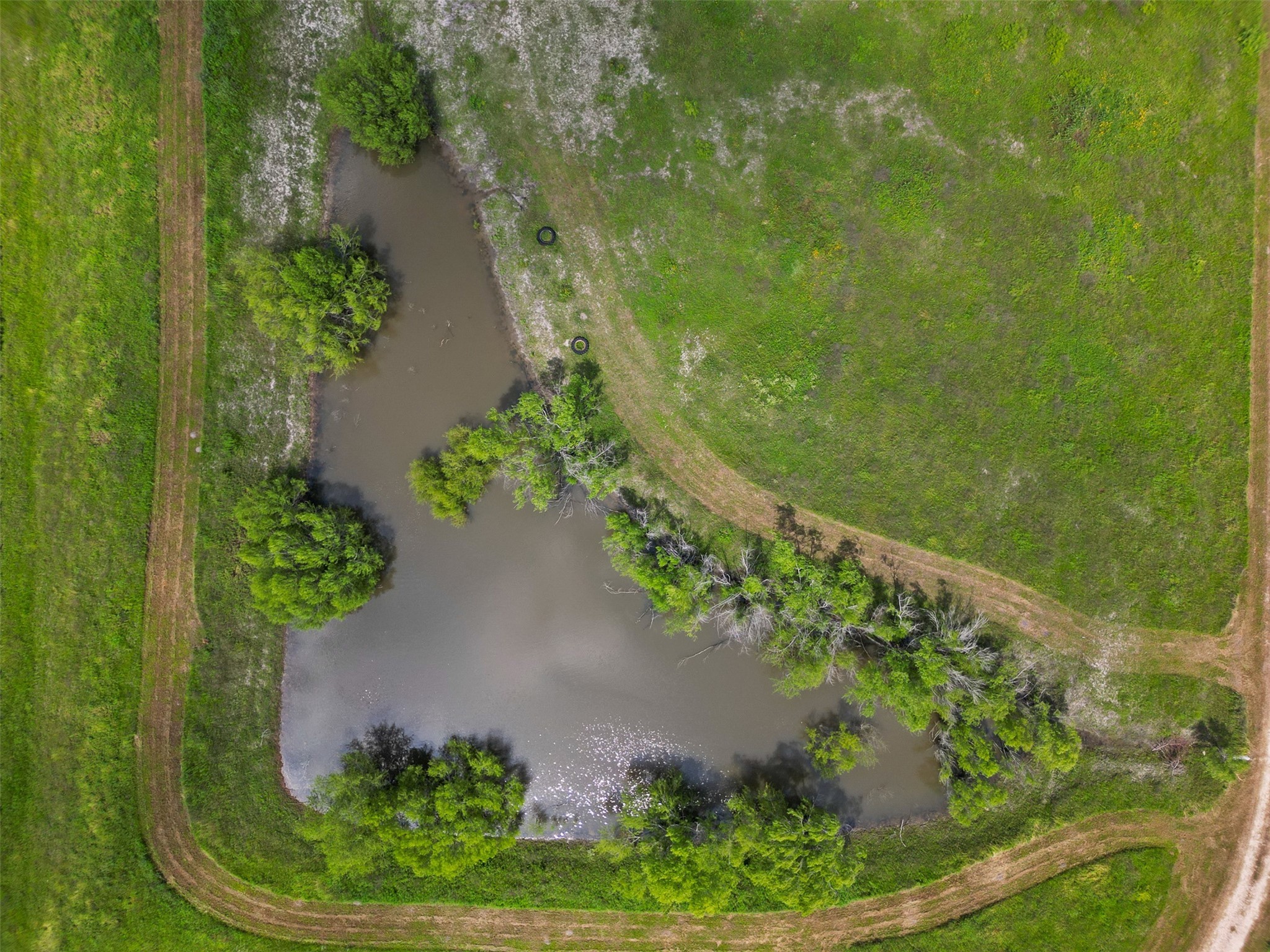 8535 Schuster Road , Nechanitz, TX, 78946 | 29235901 | Realty Texas LLC