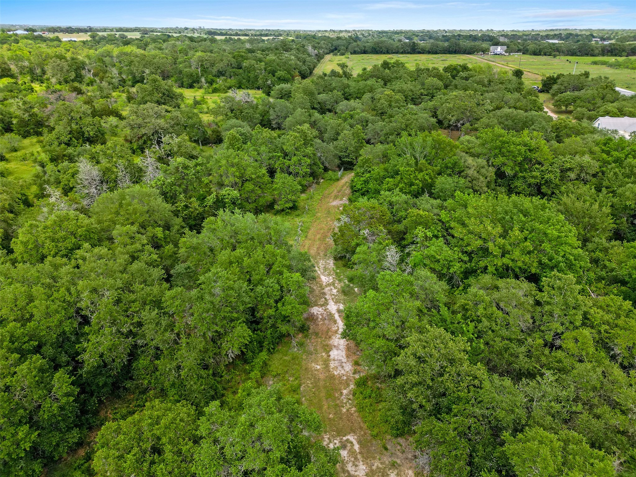 8535 Schuster Road , Nechanitz, TX, 78946 | 29235901 | Realty Texas LLC