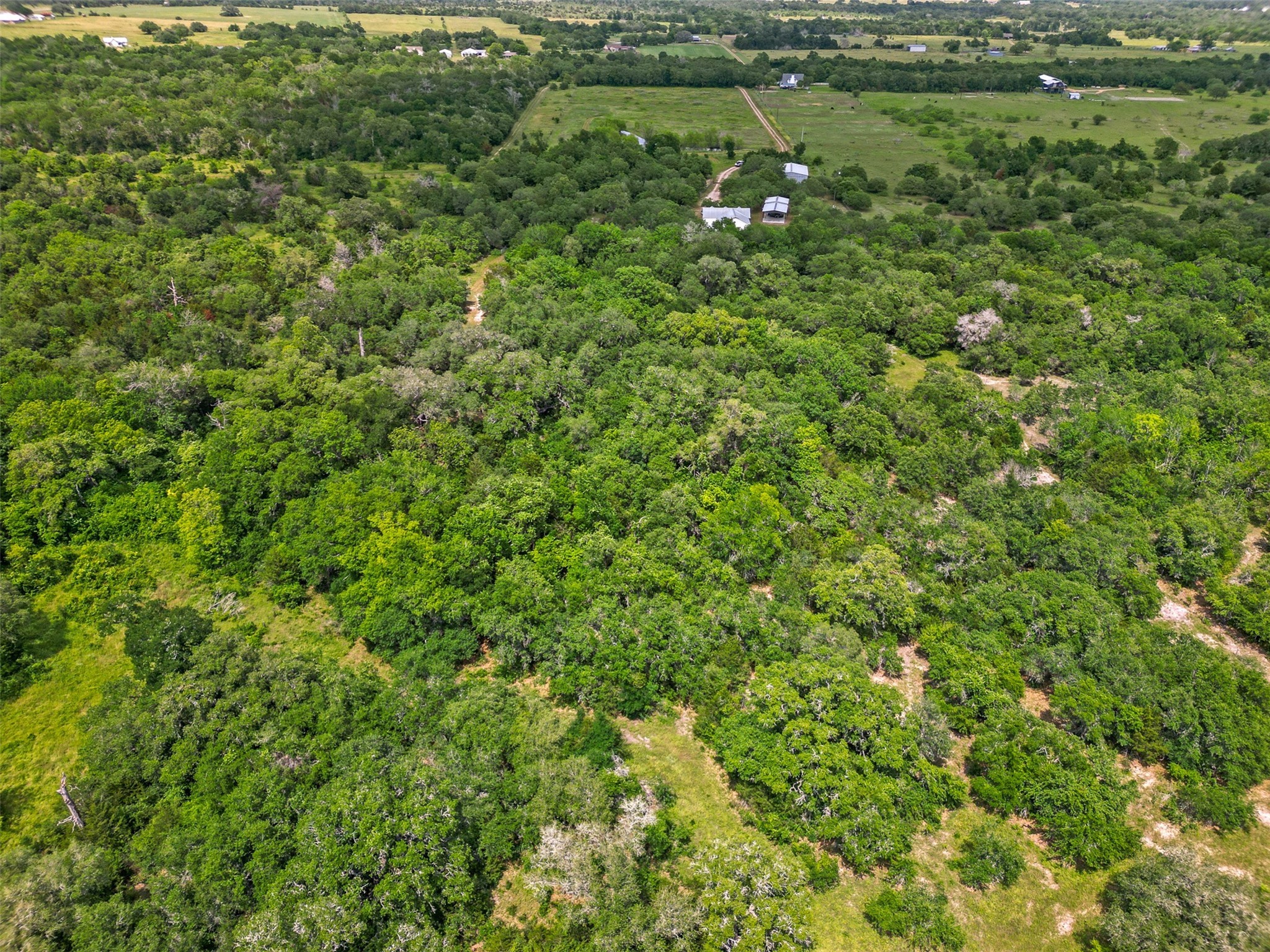 8535 Schuster Road , Nechanitz, TX, 78946 | 29235901 | Realty Texas LLC