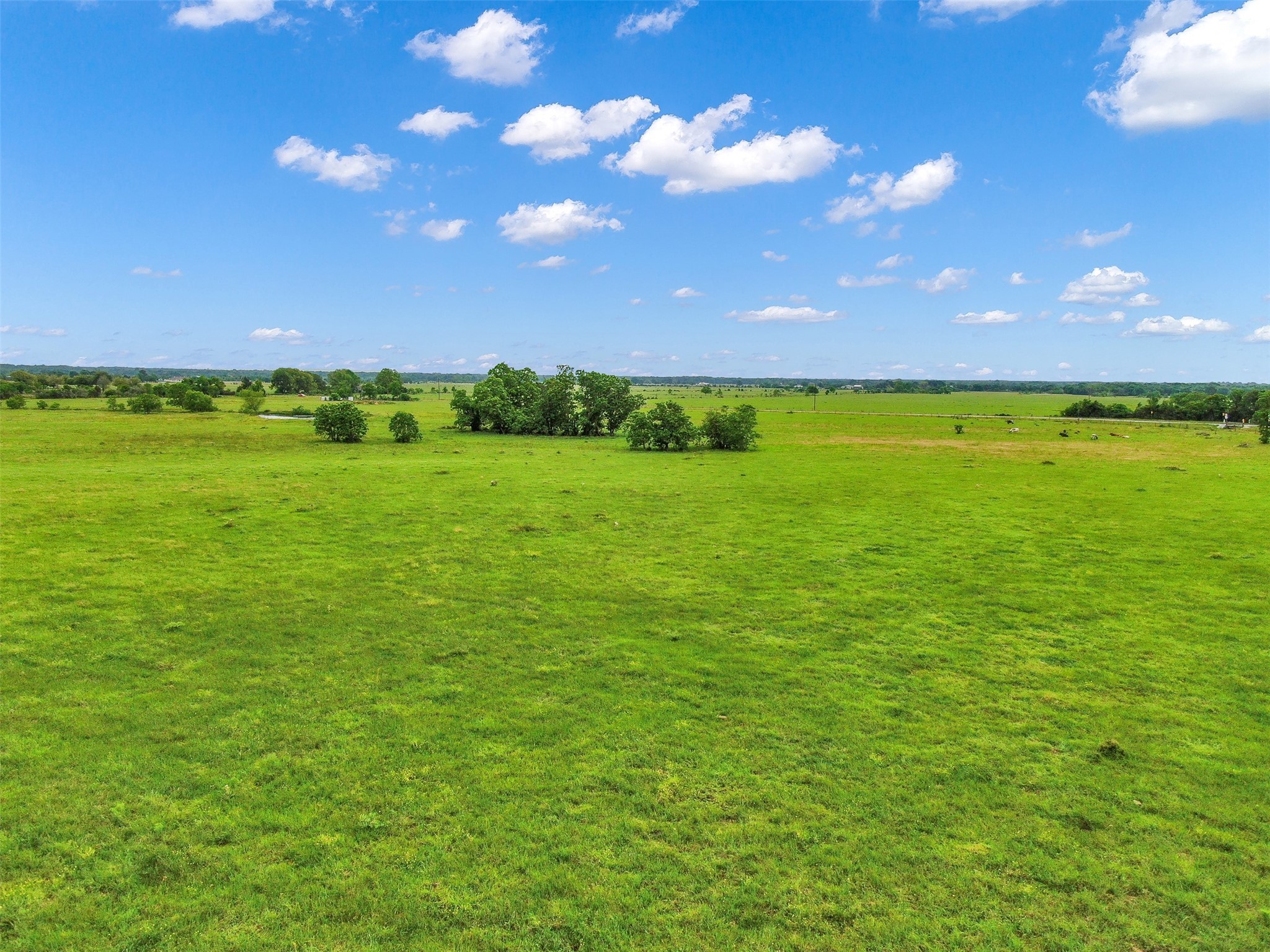 30655 B Waller Gladish Road , Waller, TX, 77484 | 34654823 | Realty Texas LLC