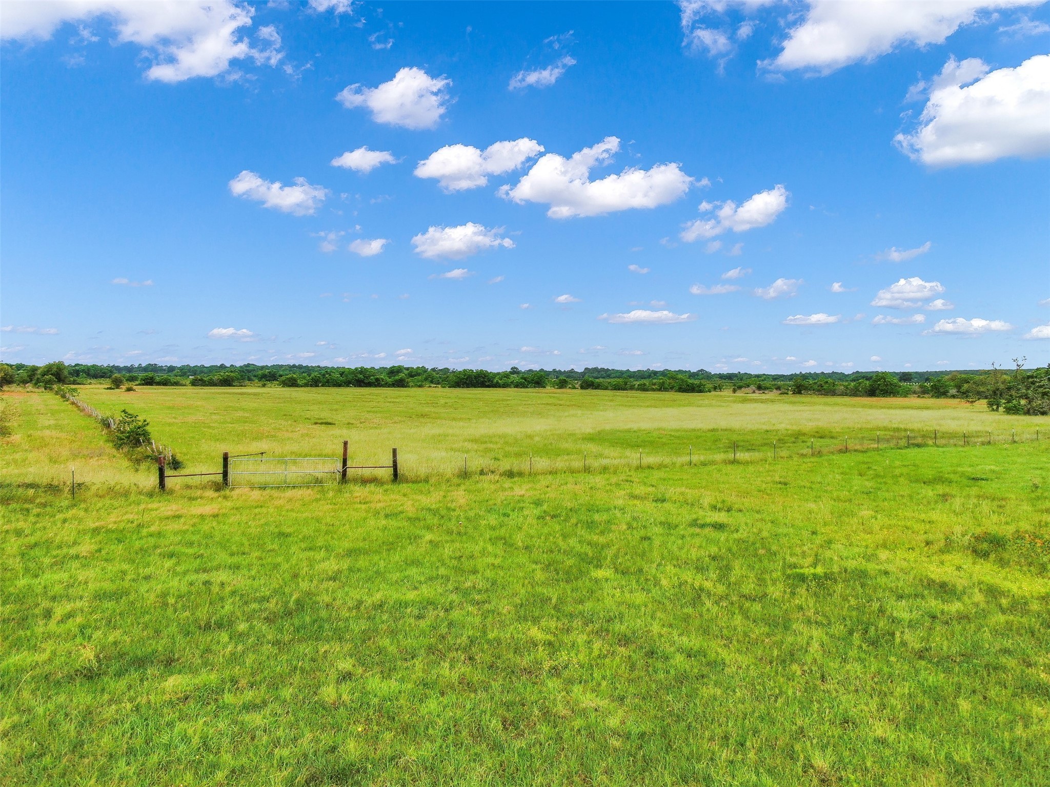 30655 B Waller Gladish Road , Waller, TX, 77484 | 34654823 | Realty Texas LLC