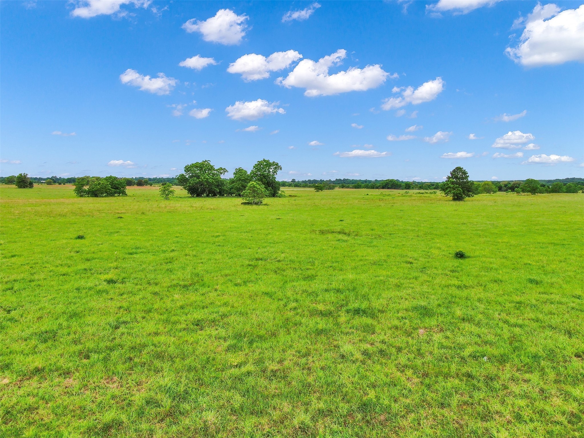 30655 B Waller Gladish Road , Waller, TX, 77484 | 34654823 | Realty Texas LLC