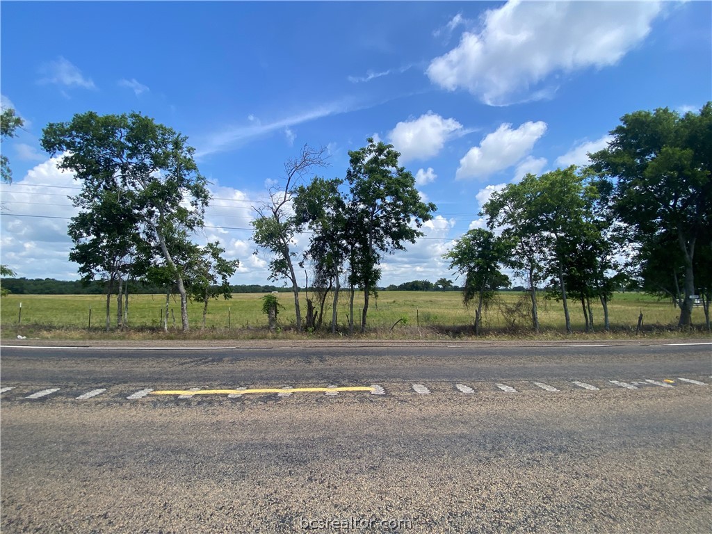 12-35 acres Lot 13 HWY 30, Bedias, TX, 77831 | 24009184 | Realty Texas LLC
