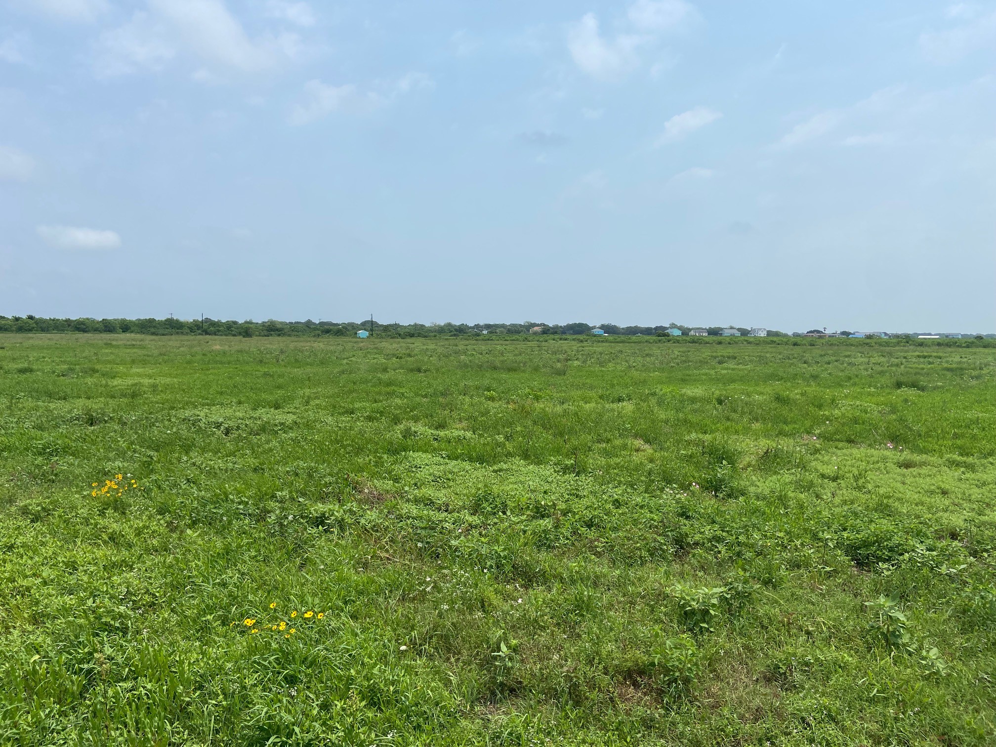 TBD Red Bend Road , Sargent, TX, 77414 | 53184043 | Realty Texas LLC