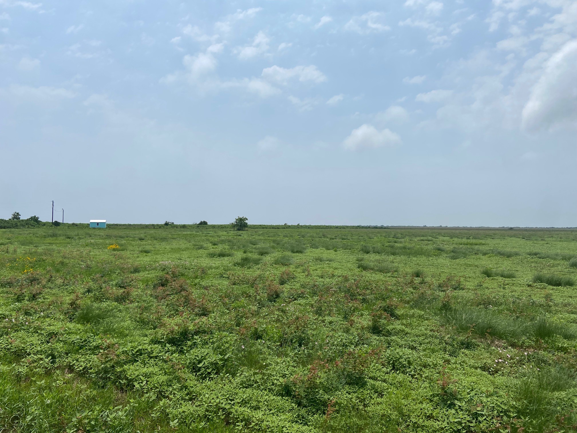 TBD Red Bend Road , Sargent, TX, 77414 | 53184043 | Realty Texas LLC