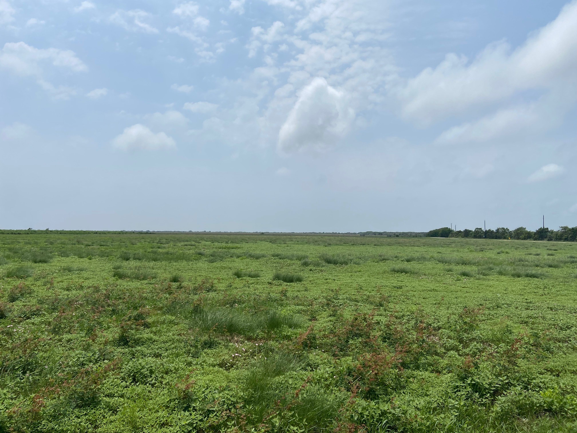 TBD Red Bend Road , Sargent, TX, 77414 | 53184043 | Realty Texas LLC