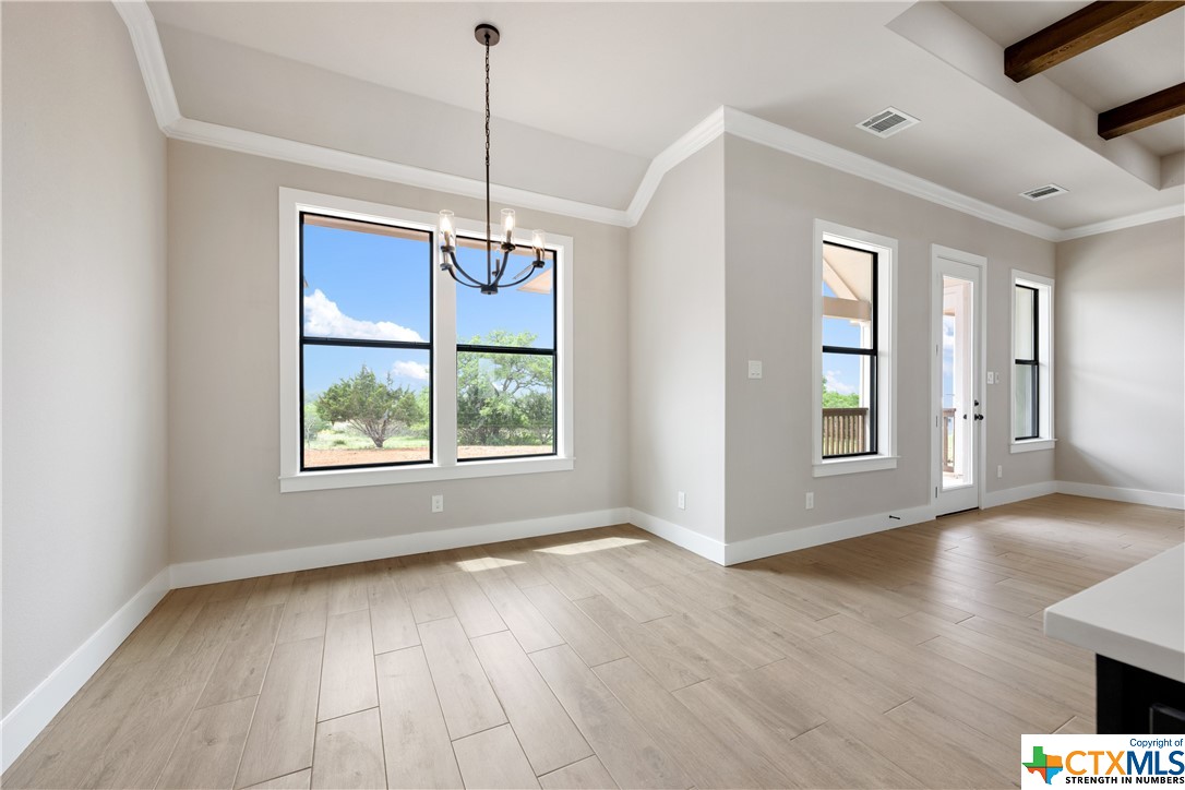 213 Roy Nichols Drive , Blanco, TX, 78606 | 542988 | Realty Texas LLC