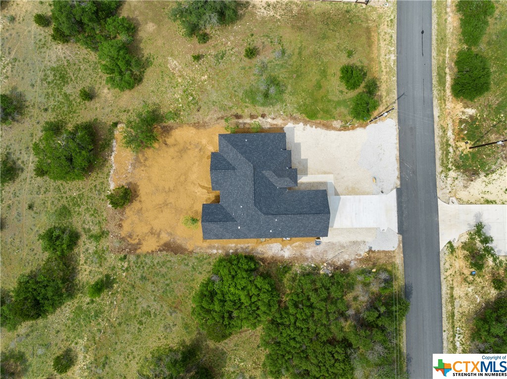 213 Roy Nichols Drive , Blanco, TX, 78606 | 542988 | Realty Texas LLC