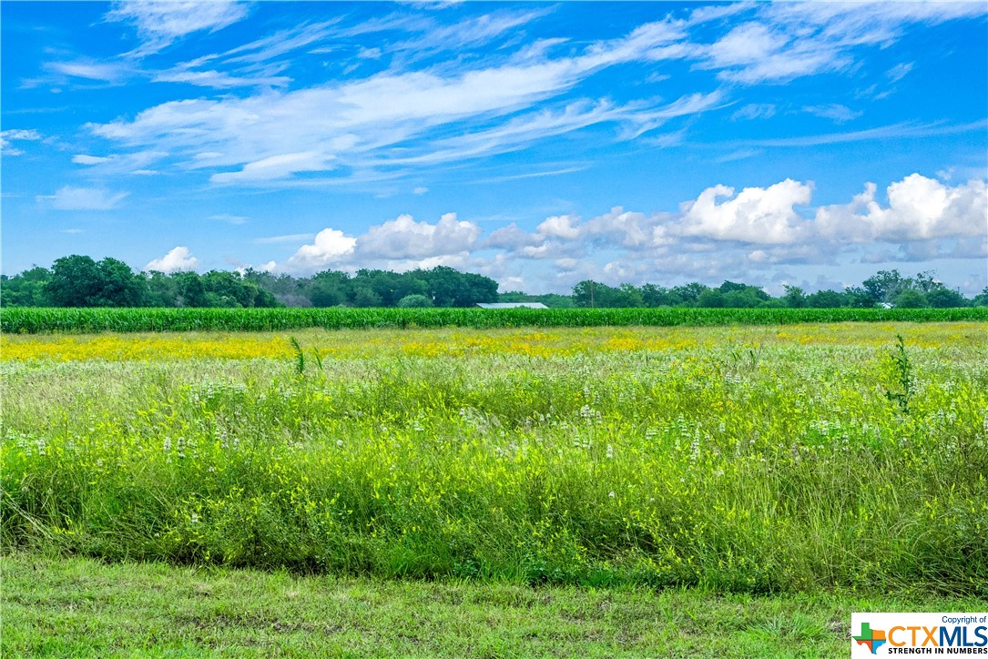 6303 Barbarossa Road , Seguin, TX, 78155 | 543136 | Realty Texas LLC