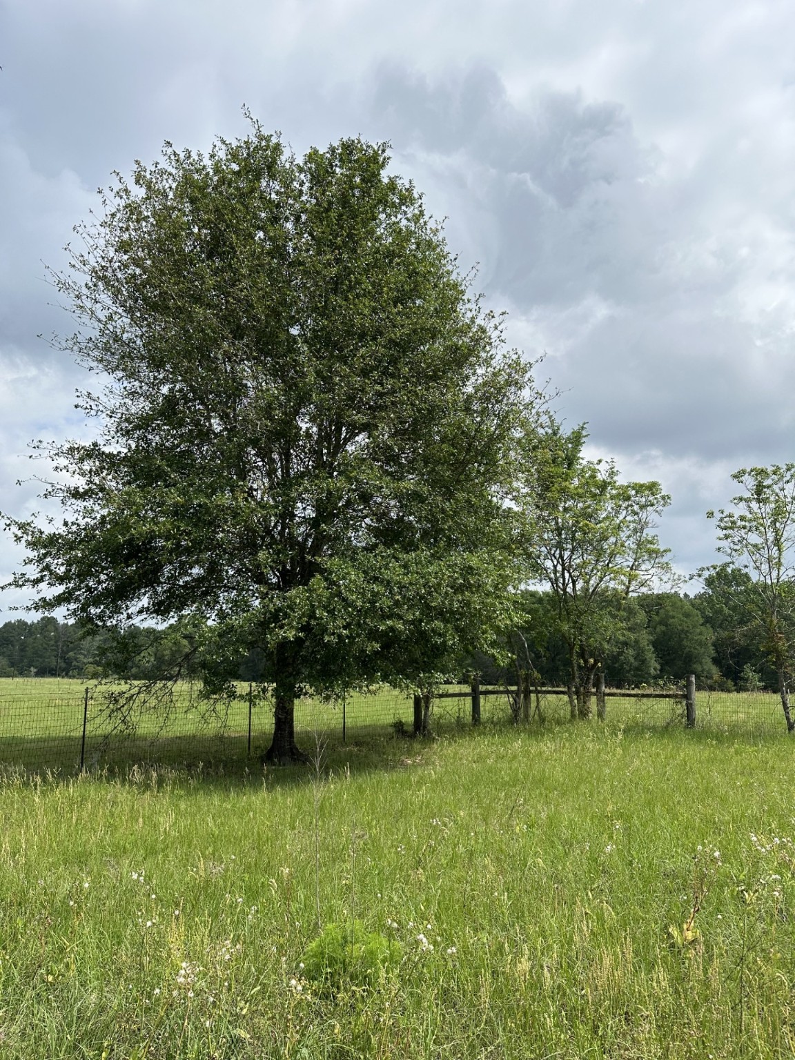 tbd Possum Walk Loop , Huntsville, TX, 77340 | 98505545 | Realty Texas LLC