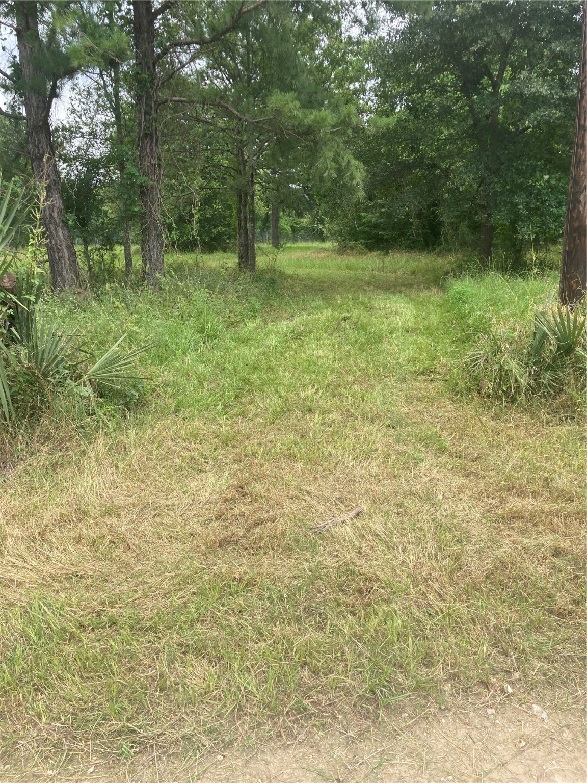 tbd Possum Walk Loop , Huntsville, TX, 77340 | 98505545 | Realty Texas LLC